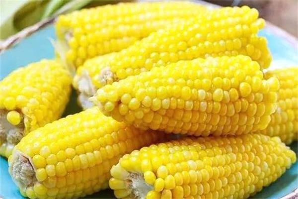 玉米吃甜的好还是糯的好 玉米怎么分辨老嫩