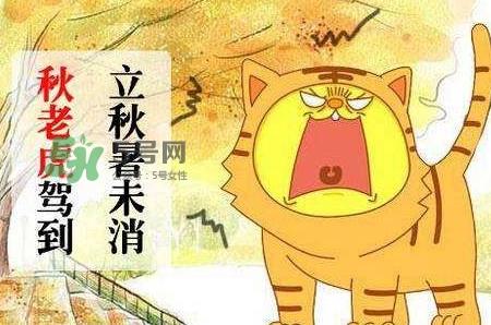 秋老虎热吗?末伏热还是秋老虎热? 秋老虎热吗?末伏热还是秋老虎热?
