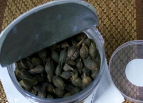 连翘可以直接泡水喝吗 治疗咽炎有奇效 连翘可以直接泡水喝吗 治疗咽炎有奇效