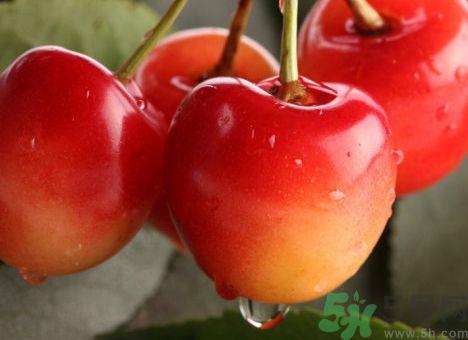 龙虾可以和樱桃一起吃吗?龙虾能和樱桃同吃吗? 龙虾可以和樱桃一起吃吗?龙虾能和樱桃同吃吗?