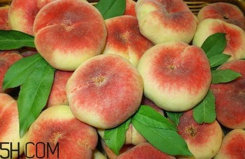 蟠桃贵吗?蟠桃与那些食物不能一起吃? 蟠桃贵吗?蟠桃与那些食物不能一起吃?