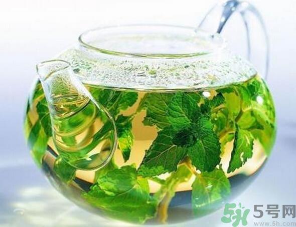 薄荷茶怎么泡好喝?薄荷茶的冲泡方法有哪些? 薄荷茶怎么泡好喝?薄荷茶的冲泡方法有哪些?