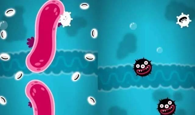 网络配图 网络配图