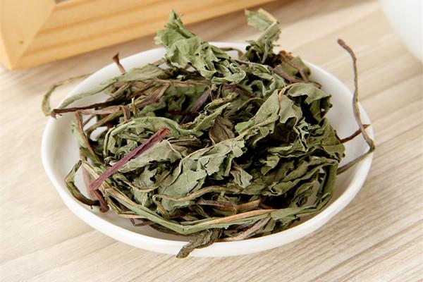 蒲公英茶安神还是提神 蒲公英茶能治感冒吗 蒲公英茶安神还是提神 蒲公英茶能治感冒吗