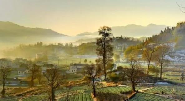 影视哪些乡村言情小说值得看(乡村言情小说人气排行榜) 1