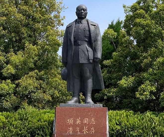 历史项英(中国工农红军和新四军领导人) 1