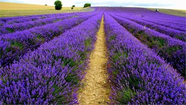 《亲爱的客栈》成功,归功它的取景地,看完节目真想身临其境