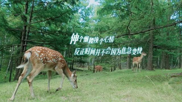 《亲爱的客栈》成功,归功它的取景地,看完节目真想身临其境