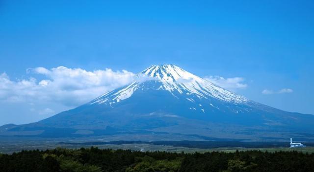 海贼王:路飞老爸恶魔果实基本确定,果然和作者生活有关