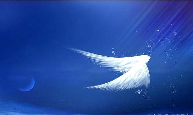 《斗破苍穹》斗气化马?斗气化翼?网友:当我们都是傻子吧