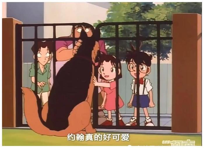 名侦探柯南:柯南真实年龄差点为只狗而暴露,柯南强制解释!