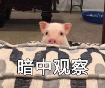 ​《遇见你真好》熊珍珍逆风翻盘，这条恋爱小tips不能错过！