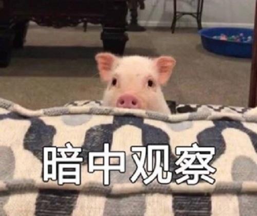 《遇见你真好》熊珍珍逆风翻盘,这条恋爱小tips不能错过!