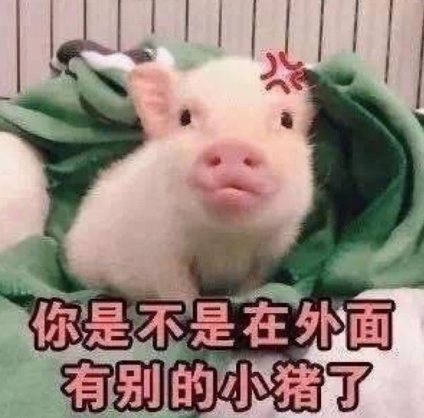 《遇见你真好》熊珍珍逆风翻盘,这条恋爱小tips不能错过!