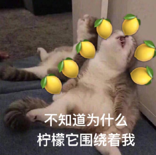 《遇见你真好》熊珍珍逆风翻盘,这条恋爱小tips不能错过!