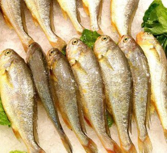 ​日照本地人去哪里吃海鲜实惠便宜好吃，大排档宰客技巧