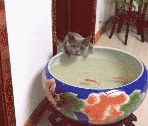 过完情人节,国产区的小电影又要更新了……