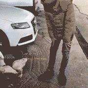 过完情人节,国产区的小电影又要更新了……