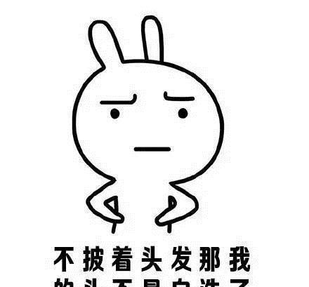 缀美丽人沙龙会,8款适合夏季的发型,让你一周美的不重样