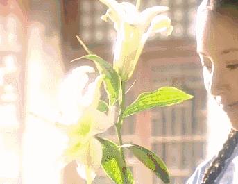 《神雕侠侣》足足翻拍了14次!网友:求求导演们,别再毁经典了