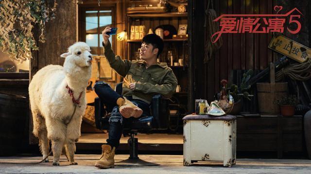 《爱5》口碑差热度高,缺席主演纷纷遭骂,导演全力补坑不获同情