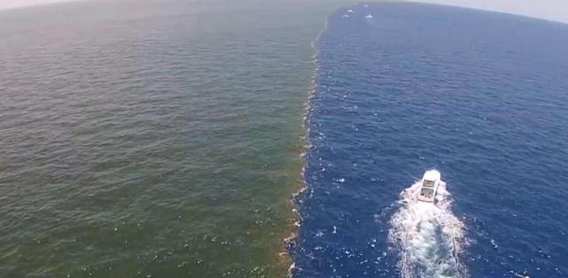 海洋都是相通,为何太平洋和大西洋却有明显分界线看完涨知识