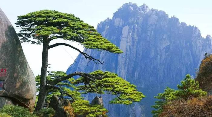 国家气象公园来了,黄山风景区成为首个试点