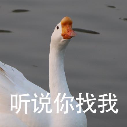 囧哥:一场游击战!英国居民扮成植物也要出门