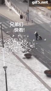 囧哥:一场游击战!英国居民扮成植物也要出门