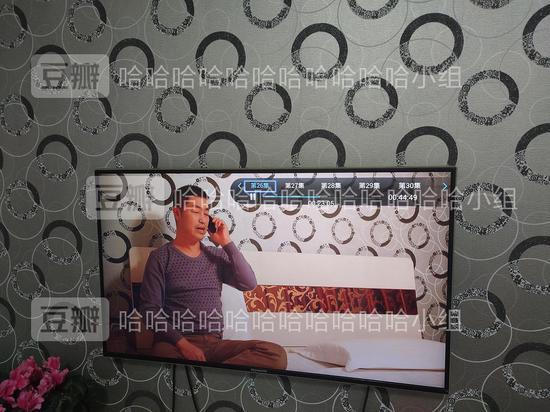 囧哥:一场游击战!英国居民扮成植物也要出门