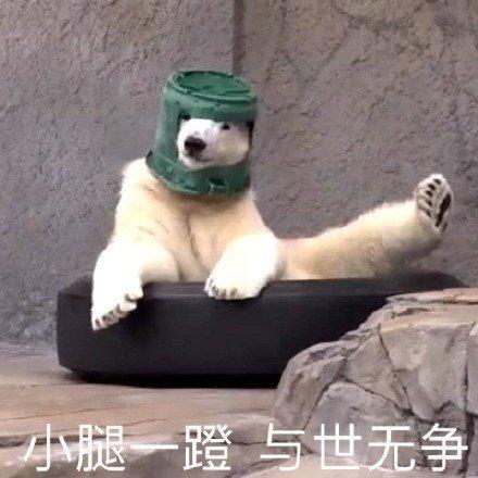 囧哥:一场游击战!英国居民扮成植物也要出门