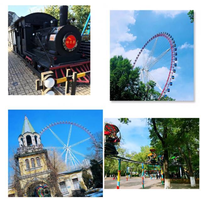 哈尔滨文化公园开园|get这份游乐攻略,免费一卡通等你拿