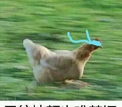 魔道祖师的表情包超级魔性,不知不觉就唱起东风志了