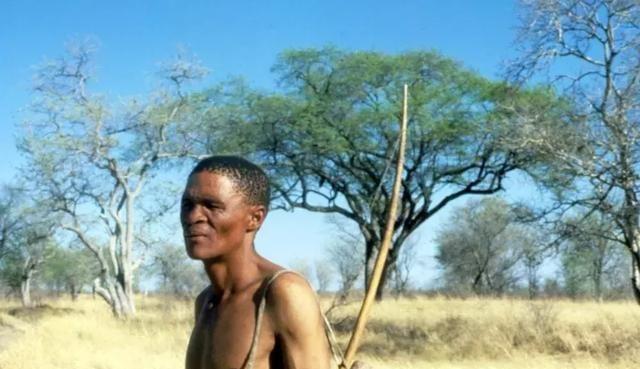 全程无尿点的喜剧电影,绝对让你爆笑不止,你看过几部?