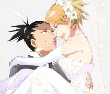 火影忍者:情侣“结婚照”,鸣人“公主抱”雏田,井野一脸幸福!