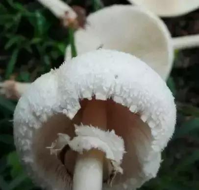 再见!珠海市实验中学,谢谢你带给我难忘的青春记忆