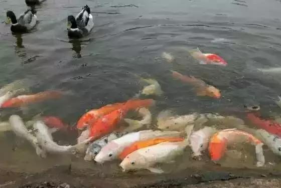 再见!珠海市实验中学,谢谢你带给我难忘的青春记忆