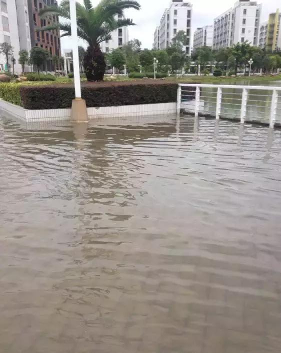 再见!珠海市实验中学,谢谢你带给我难忘的青春记忆