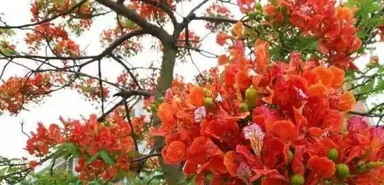 再见!珠海市实验中学,谢谢你带给我难忘的青春记忆