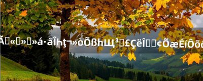 ​淘米公司会不会封我号，或者一些惩罚请问白虎真身怎么打