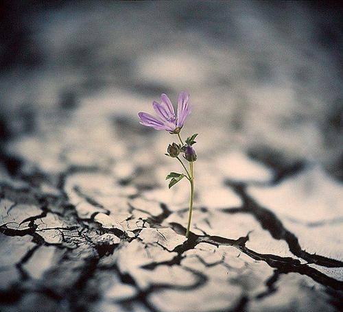 朦胧派代表诗人—北岛富有哲理的诗,蕴藉深沉,震撼人心