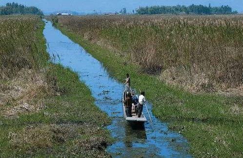 藏在印度的“小中国”,飘扬六星红旗,当地人自称是龙的传人