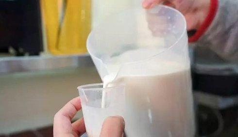 乌茶邦|一杯有理想主义的奶茶