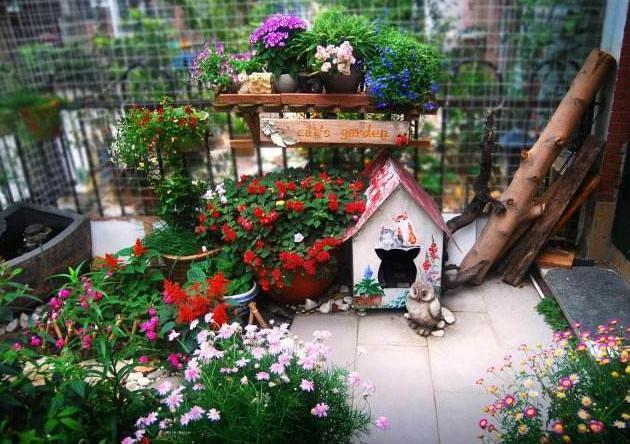 草木灰,浇花预防病虫害,平时撒一把,一年到头植株不生病