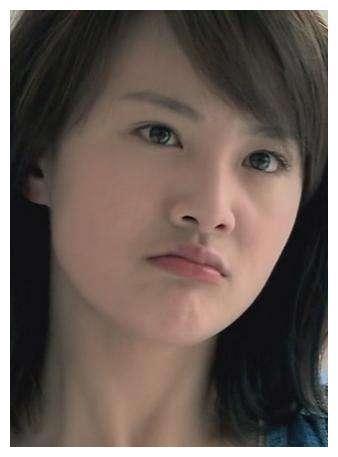 新版《流星花园》女主沈月能否成为下一个郑爽