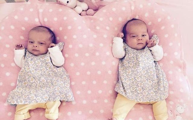 女子备孕9年,生下一对双胞胎女儿,宠物狗因嫉妒咬死小主人