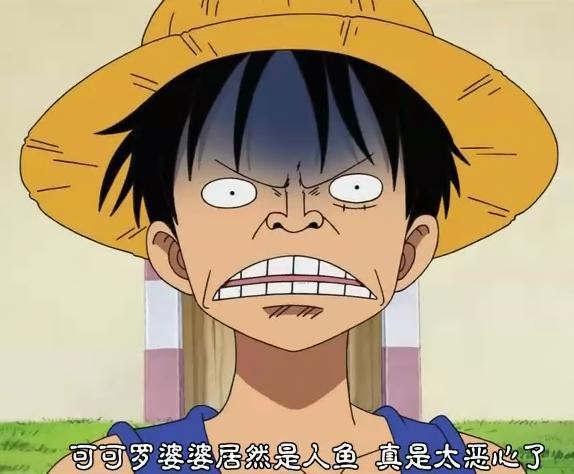 海贼王丨可可罗婆婆年轻的时候是这样?颜值秒杀白星!