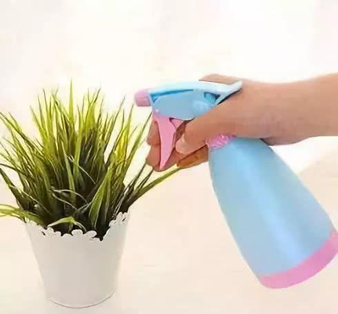 养花有小飞虫?三招让它从花盆中消失