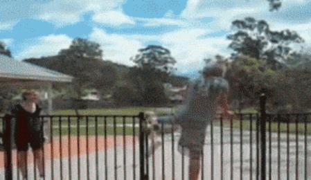 搞笑图片:看完笑着过新年的爆笑图(1231)