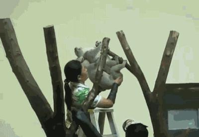 搞笑图片:看完笑着过新年的爆笑图(1231)